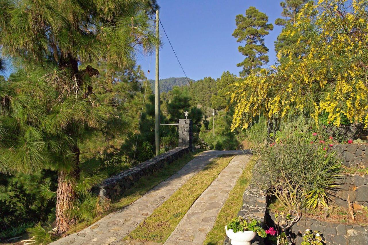 Casa Antonia Villa ติคาราเฟ ภายนอก รูปภาพ